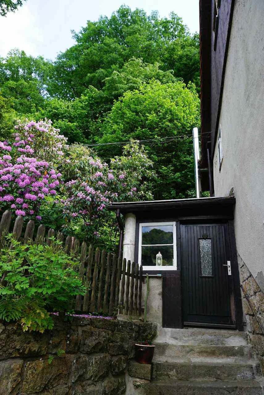 Ferienwohnung Im Gruenen Elbtal ชตัดท์เวเลิน ภายนอก รูปภาพ